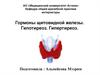Гормоны щитовидной железы. Гипотиреоз. Гипертиреоз