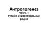 Антропогенез. Тупайи и шерстокрылы