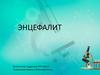 Энцефалит. Клещевой энцефалит