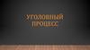Уголовный процесс
