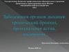 Заболевания органов дыхания: хронический бронхит, бронхиальная астма, пневмония