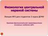 Физиология центральной нервной системы