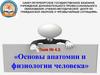 Анатомия и физиология человека