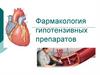 Фармакология гипотензивных препаратов