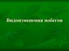 Видоизменения побегов растений