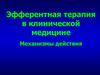 Эфферентная терапия в клинической медицине. Механизмы действия
