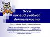 Эссе как вид учебной деятельности