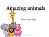 Amazing animals