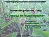 Проектная работа на тему: «Огород на подоконнике»