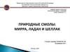 Природные смолы: мирра, ладан и шеллак