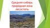 Средняя Сибирь. Природная зона лесостепь
