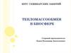 Тепломассообмен в биосфере. Введение, некоторые математические понятия