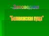 Биосферный заповедник "Беловежская пуща"