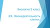 Жизнедеятельность клетки