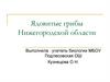 Ядовитые грибы Нижегородской области
