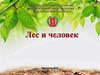 Лес и человек