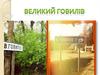 Село Великий Говилів