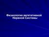 Физиология вегетативной Нервной Системы