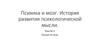 Психика и мозг. История развития психологической мысли