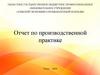 Отчет по производственной практике. ООО «Координата»