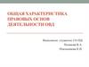 Общая характеристика правовых основ деятельности ОВД