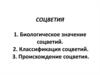 Соцветия. Биологическое значение, классификация, происхождение соцветий