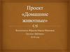 Домашние животные (для дошкольников)