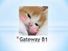 Gateway B1-1