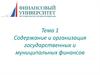 Содержание и организация государственных и муниципальных финансов