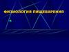 Физиология пищеварения