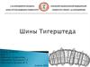 Шины Тигерштеда