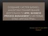 Создание систем бизнес-аналитики планирования деятельности BPM