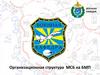 Организационная структура МСБ на БМП