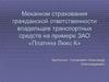 Механизм страхования гражданской ответственности владельцев транспортных средств на примере ЗАО Платина Люкс К