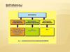 Витамины. Что нужно для синтеза фермента