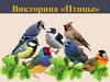 Викторина «Птицы»