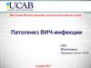Патогенез ВИЧ-инфекции