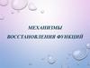 Механизмы восстановления функций