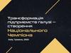 Трансформація підприємств галузі - створення Національного Чемпіона