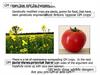 Genetically modified crops