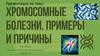 Хромосомные болезни. Примеры и причины