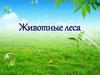 Животные леса