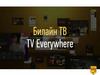 TV Everywhere, просмотр телеканалов и фильмов из видеотеки и каталогов подписок. Билайн ТВ