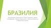 Бразилия. Население Бразилии