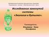 Исследование замкнутой системы «Экология в бутылке»