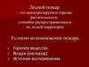 Лесной пожар