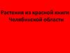 Растения из Красной книги Челябинской области