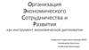 Организация экономического сотрудничества и развития как инструмент экономической дипломатии