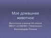 Моё домашнее животное. 5 класс