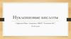 Нуклеиновые кислоты. Лекция №3